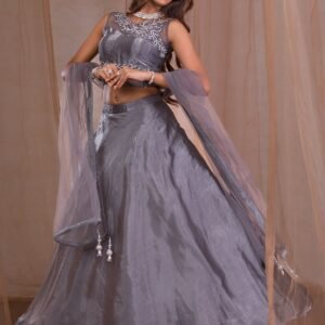 Stonework Tissue Readymade Lehenga